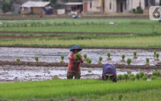 Sejahterakan Petani, Platform Ini Berdayakan Industri Pertanian dengan Teknologi