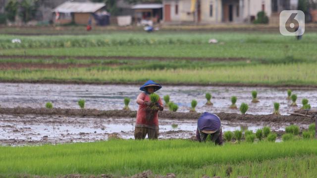 Sejahterakan Petani, Platform Ini Berdayakan Industri Pertanian dengan Teknologi